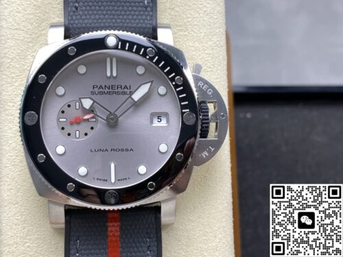 101(PAM01681)