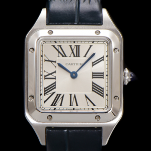 F1 Factory Replica Cartier Santos WSSA0085 Stainless Steel For Sale - Replica Watch Wholesale