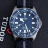 Replica Tudor Pelagos M25707B-24-0001 Titanium For Sale - Replica Watch Wholesale