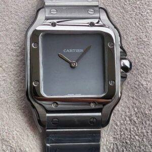 8848 Factory Replica Cartier Santos Stainless steel For Sale - Replica Watch Wholesale